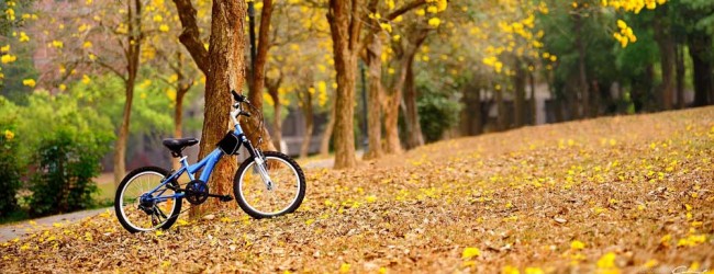 Jesień na rowerze
