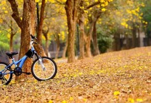 Jesień na rowerze